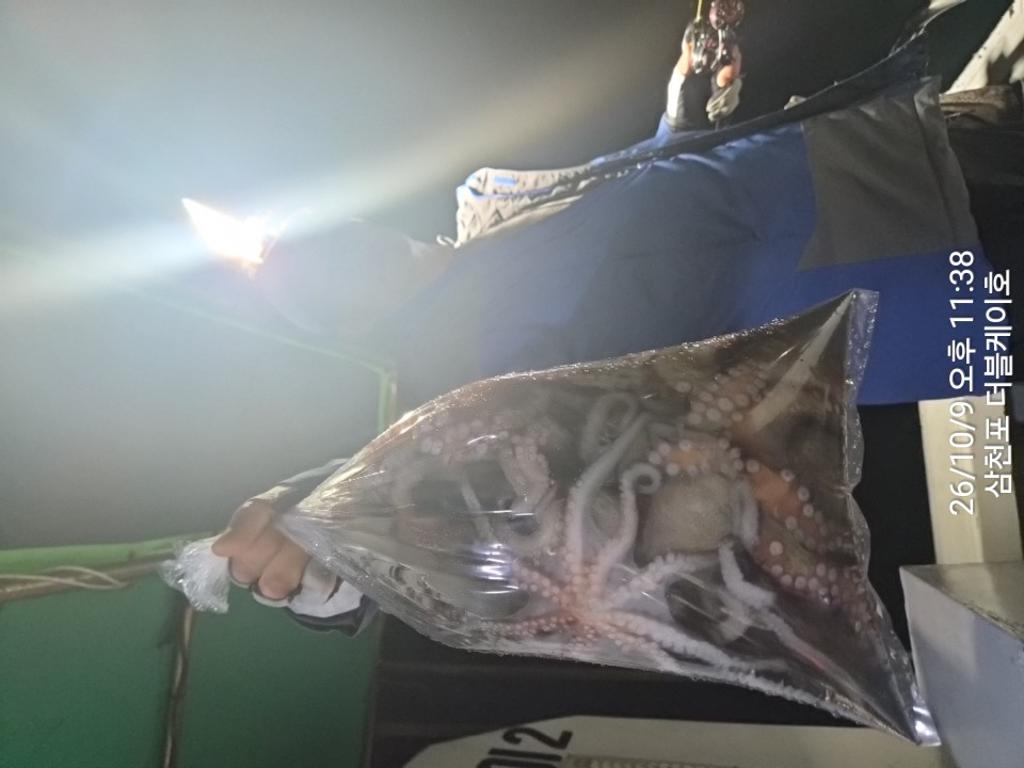 낚시뚜,돌문어,쭈꾸미,삼천포 팔포항,삼천포 더블케이호,낚시뚜14