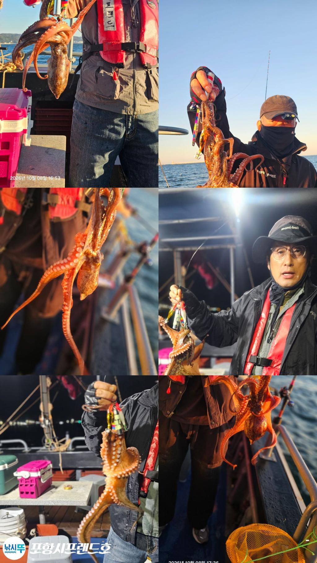 낚시뚜,돌문어,영일만항,포항시프랜드호,낚시뚜8