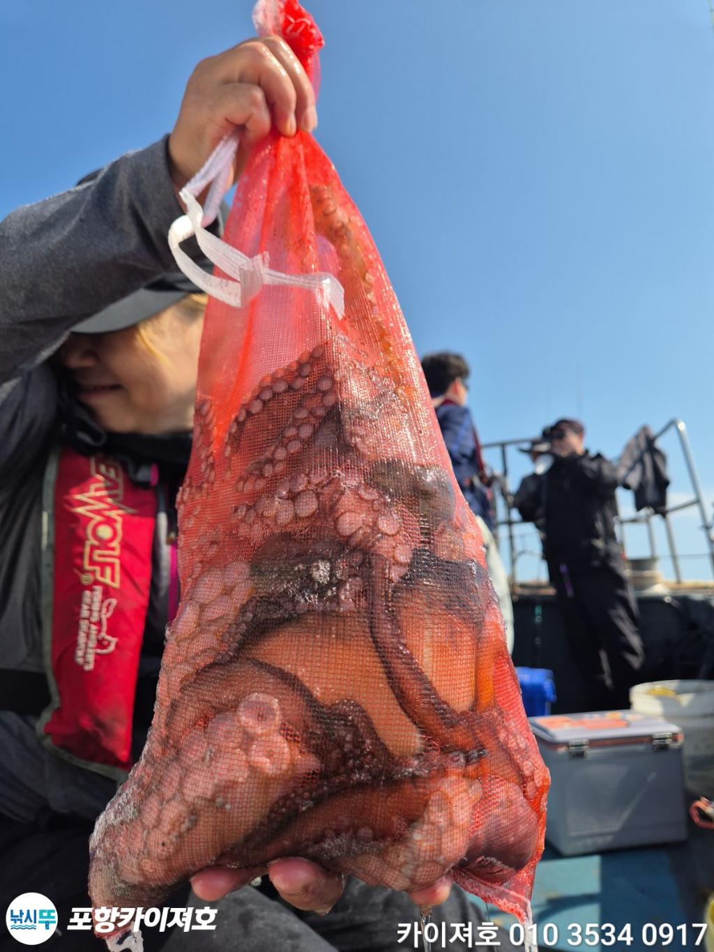 낚시뚜,돌문어,영일만항,포항카이져호,낚시뚜2