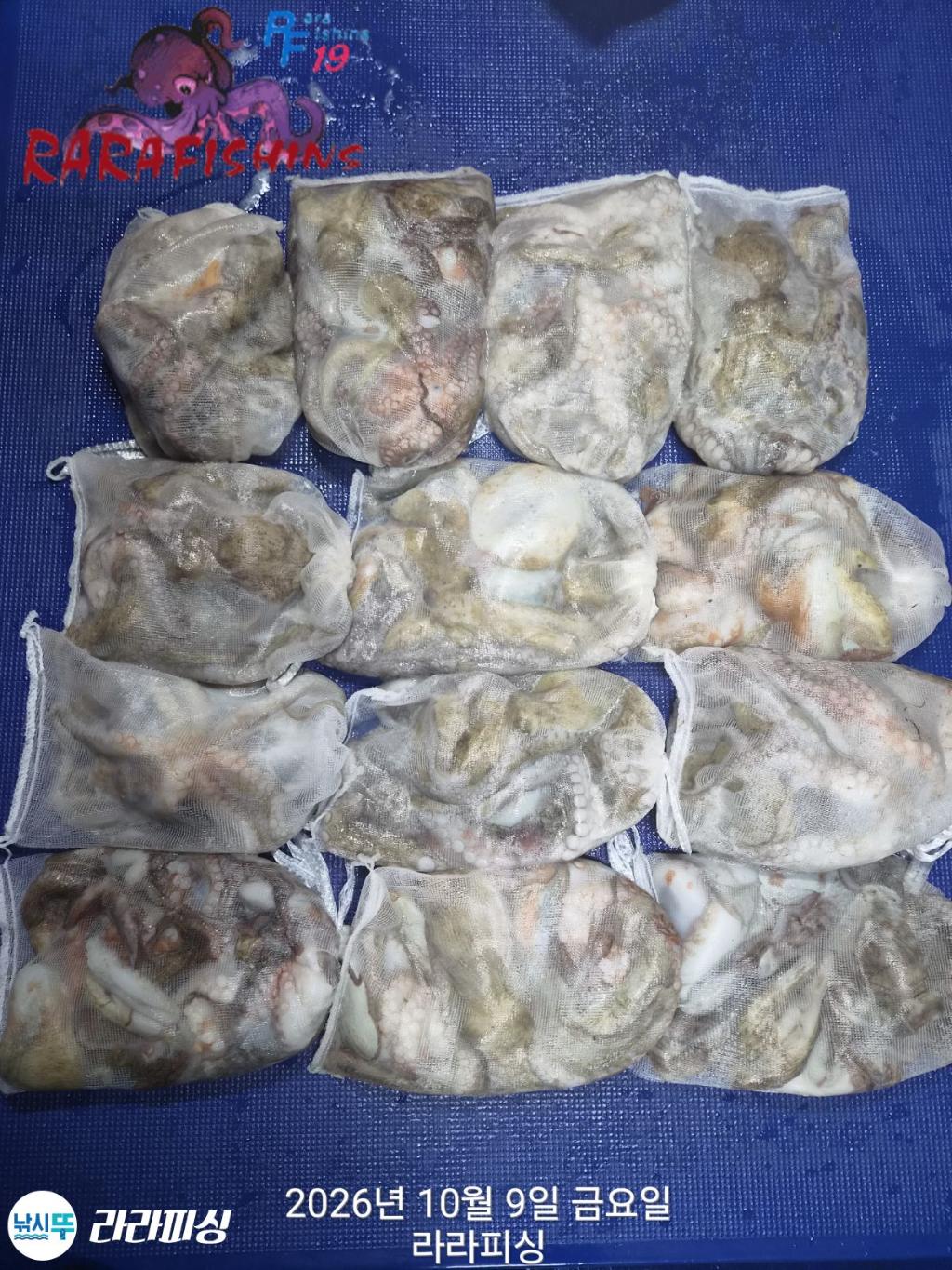 낚시뚜,돌문어,속천항(진해),라라피싱,낚시뚜14