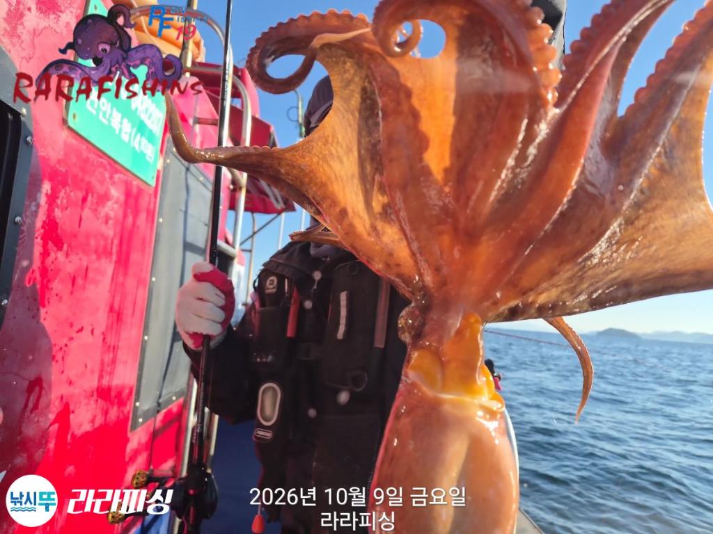 낚시뚜,돌문어,속천항(진해),라라피싱,낚시뚜6