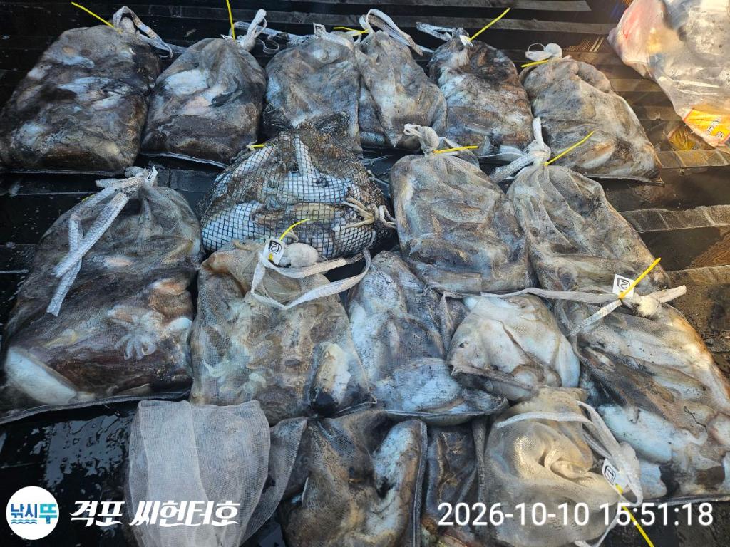 낚시뚜,갑오징어,격포,격포 씨헌터호,낚시뚜0
