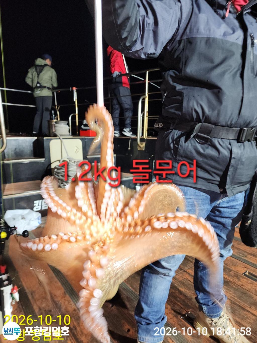 낚시뚜,돌문어,영일만항,포항 킹덤호,낚시뚜19