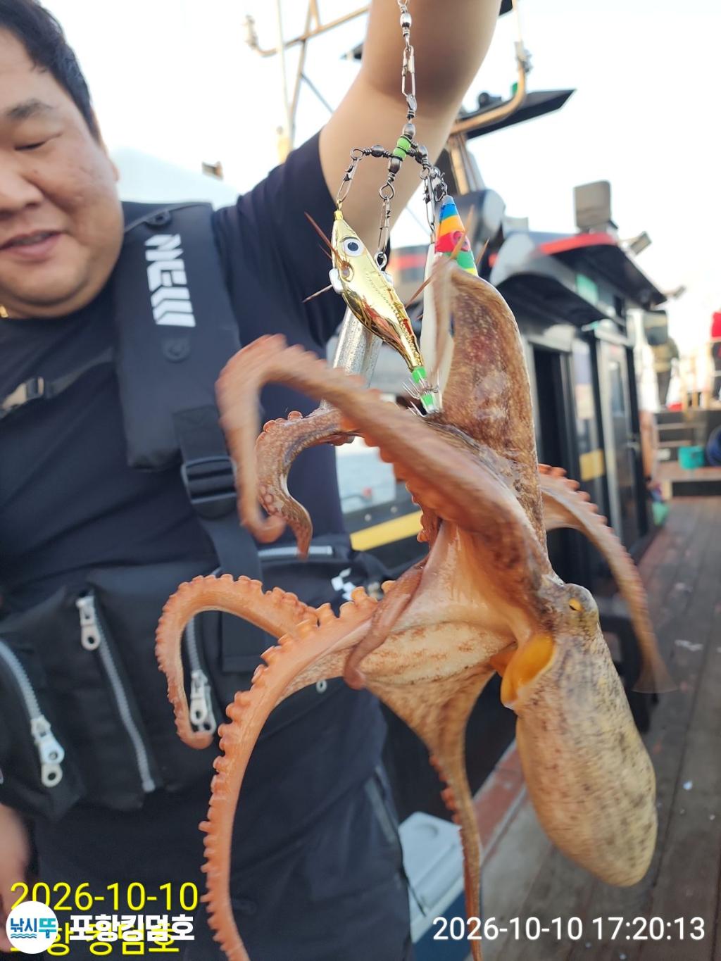 낚시뚜,돌문어,영일만항,포항 킹덤호,낚시뚜9