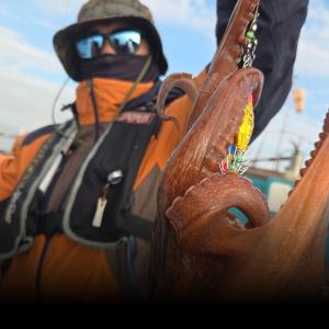 조황, 실시간 포항선상낚시 돌문어 숭덩숭덩~10/12.월.오후4시 출항~