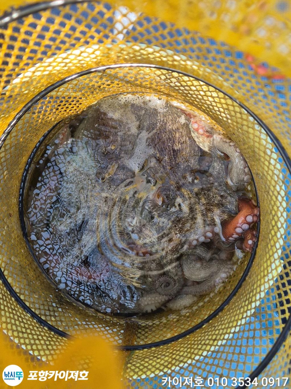 낚시뚜,기타 (직접입력),영일만항,포항카이져호,낚시뚜63