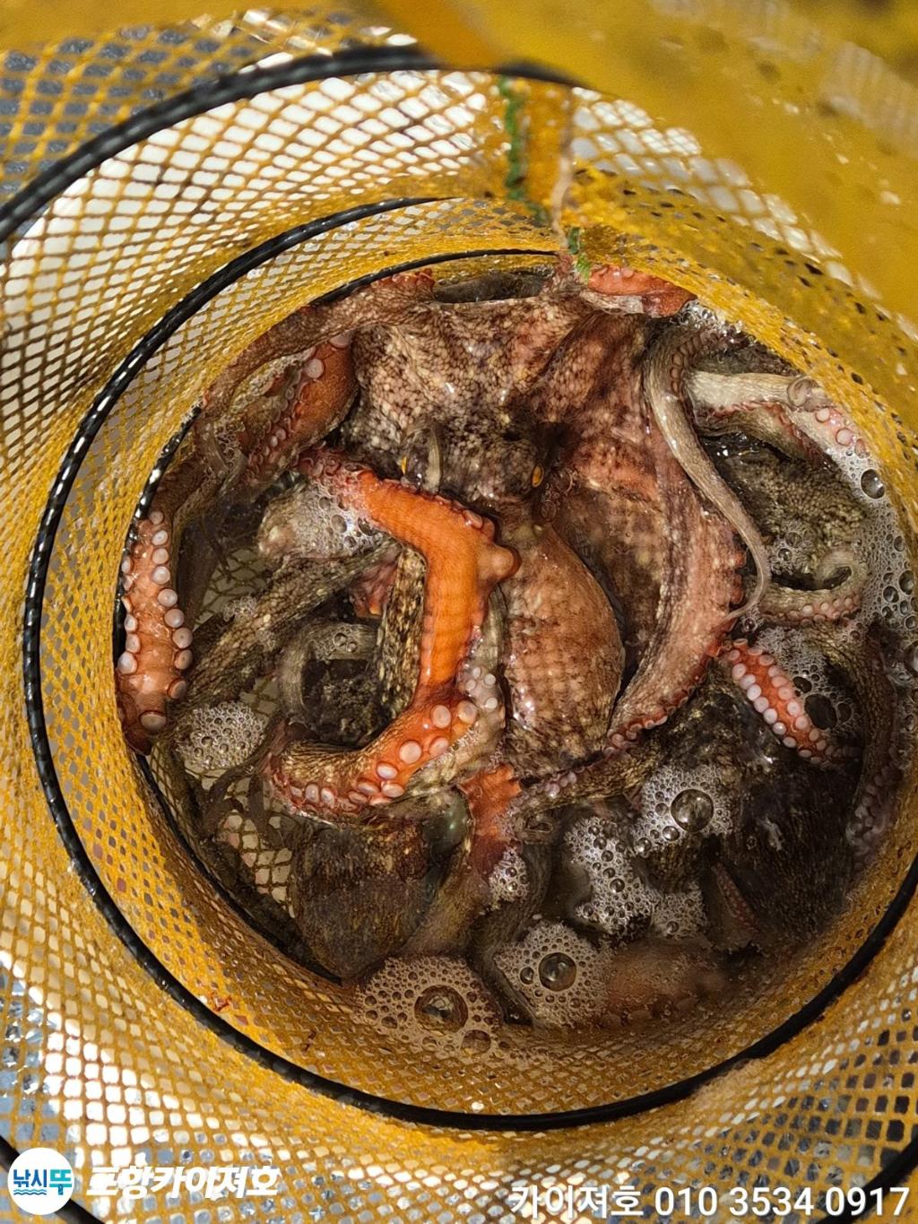 낚시뚜,기타 (직접입력),영일만항,포항카이져호,낚시뚜54
