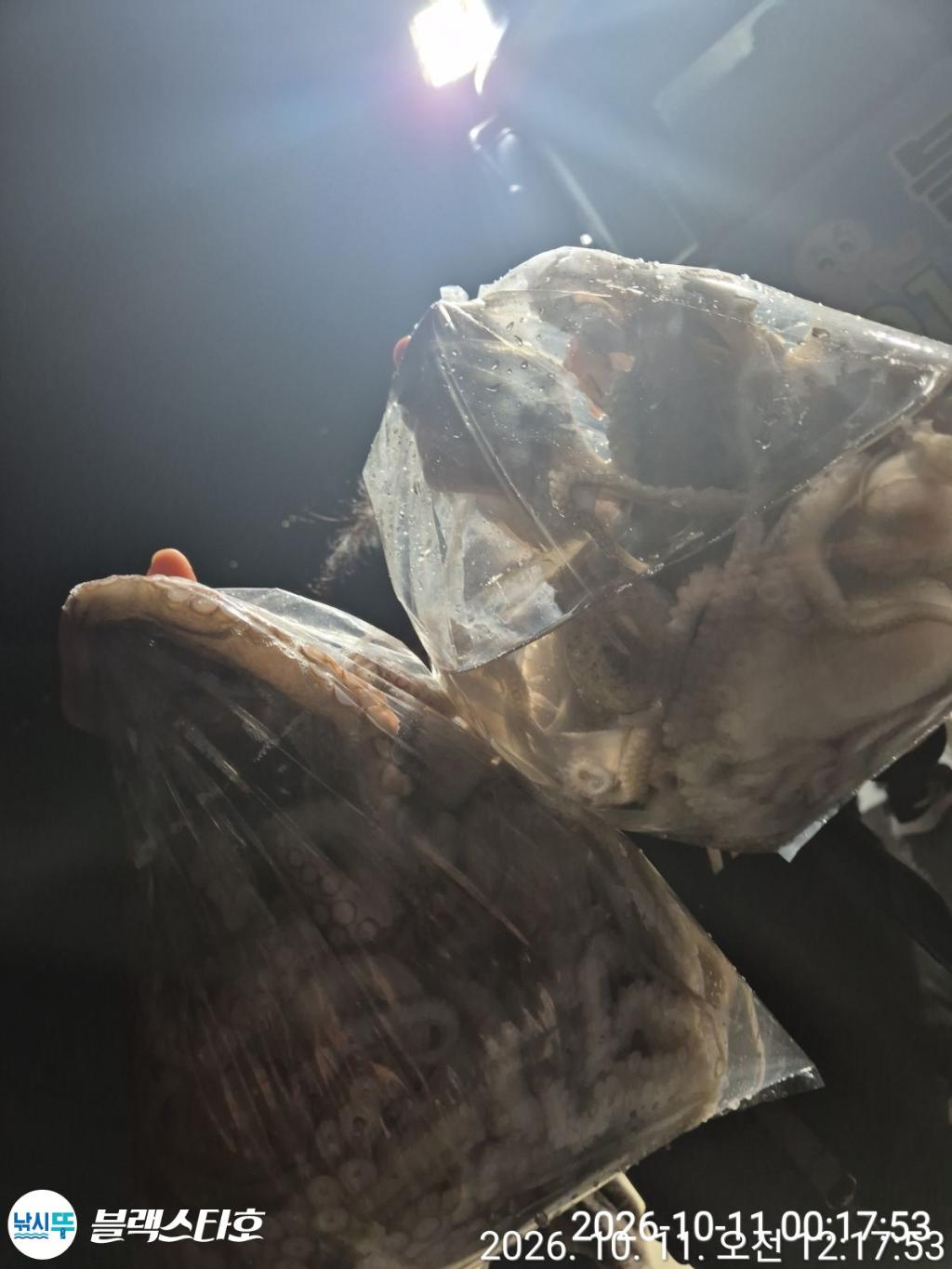낚시뚜,돌문어,삼천포 팔포항,삼천포 블랙스타,낚시뚜13
