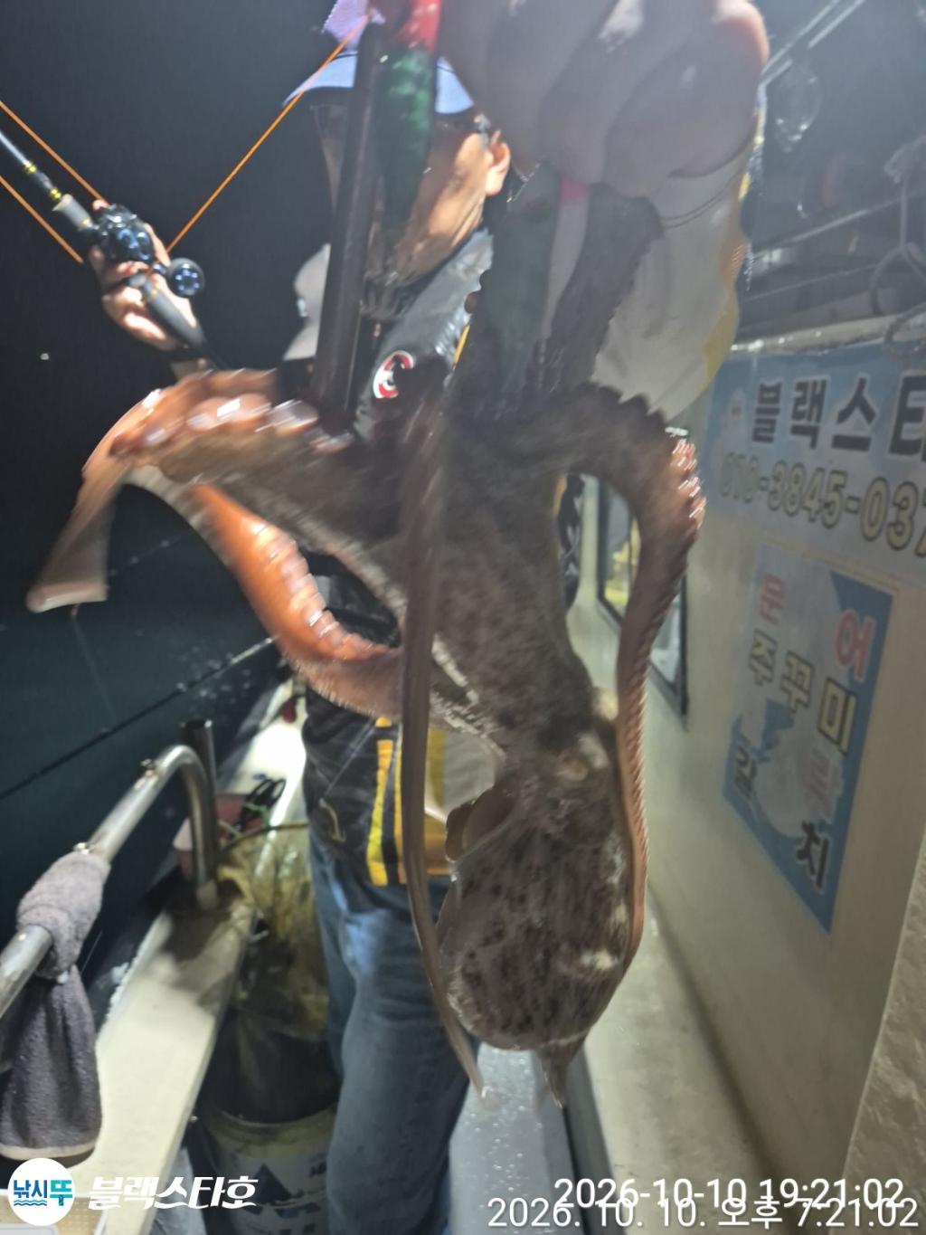 낚시뚜,돌문어,삼천포 팔포항,삼천포 블랙스타,낚시뚜11