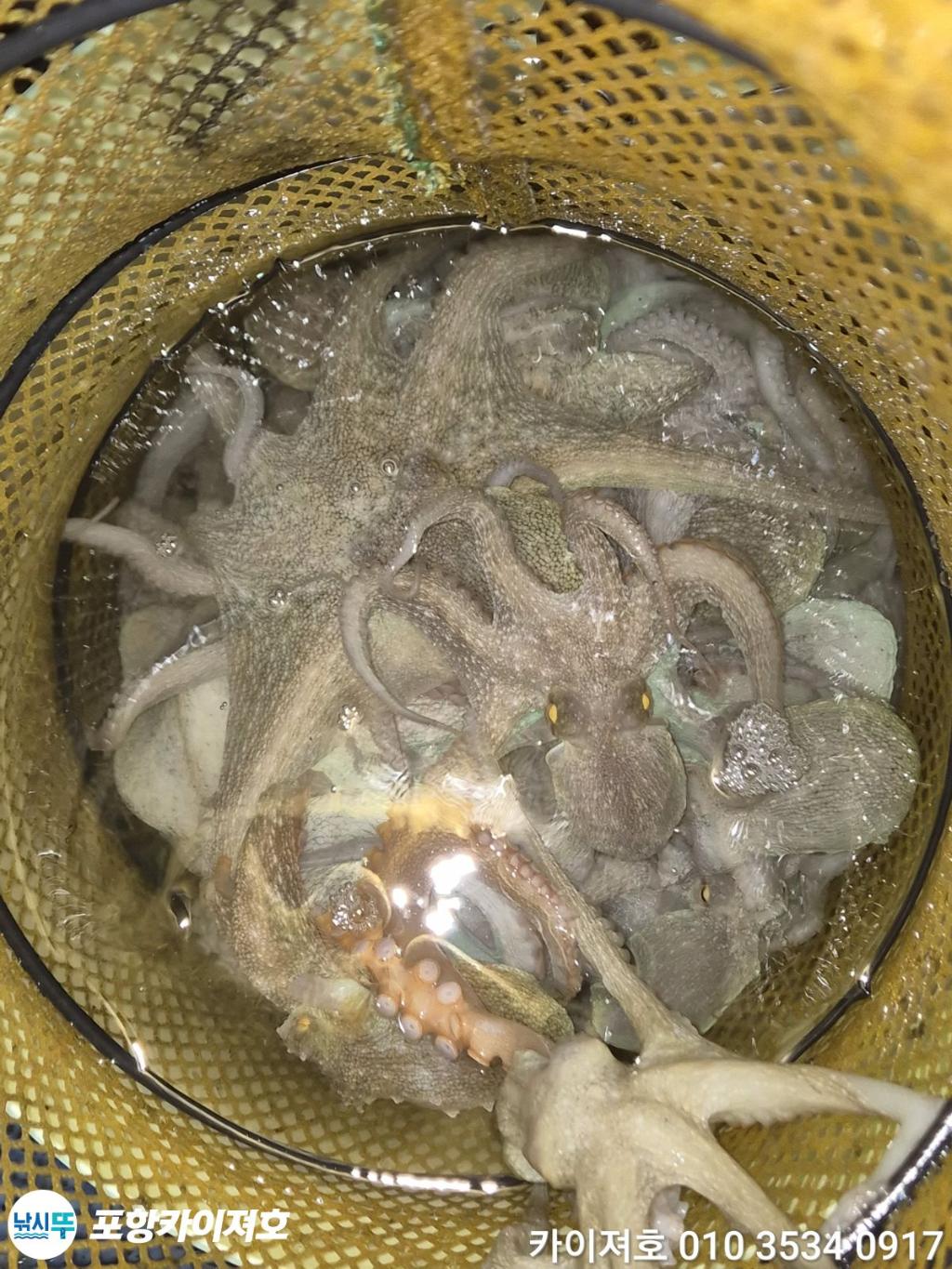 낚시뚜,기타 (직접입력),영일만항,포항카이져호,낚시뚜48