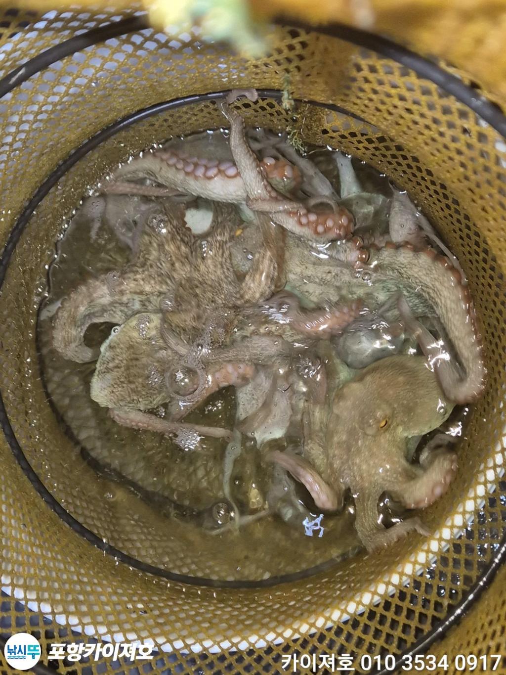 낚시뚜,기타 (직접입력),영일만항,포항카이져호,낚시뚜47