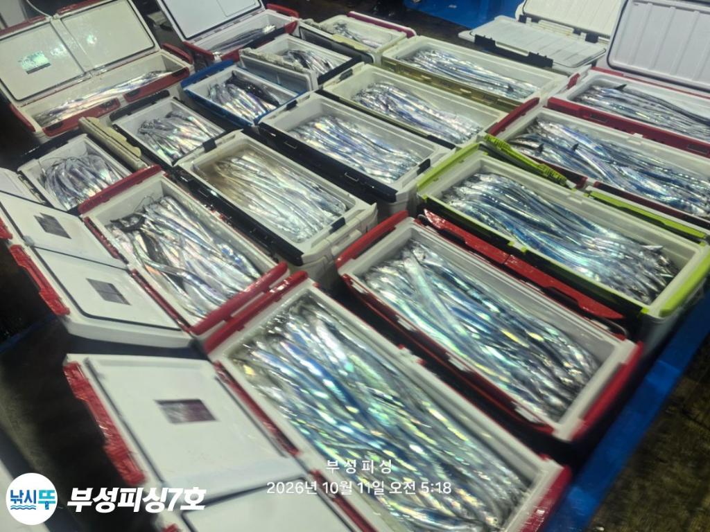 낚시뚜,갈치,통영영운리항,부성피싱7호,낚시뚜30