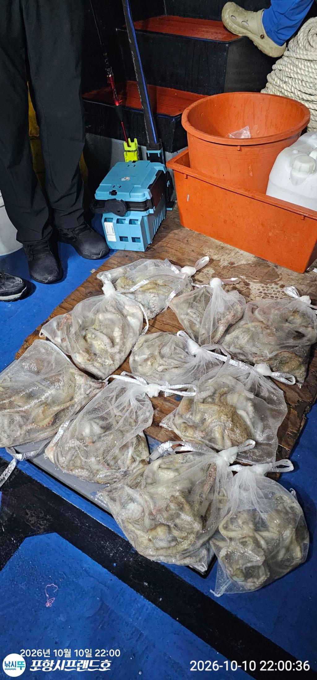낚시뚜,돌문어,영일만항,포항시프랜드호,낚시뚜0