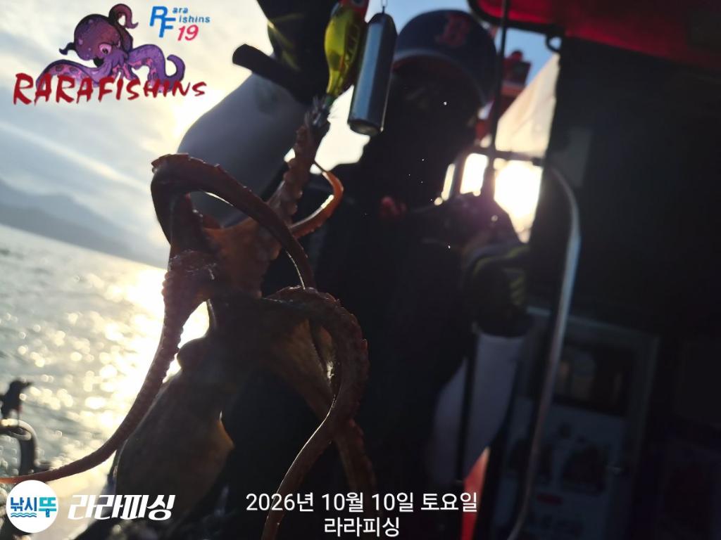 낚시뚜,돌문어,속천항(진해),라라피싱,낚시뚜9