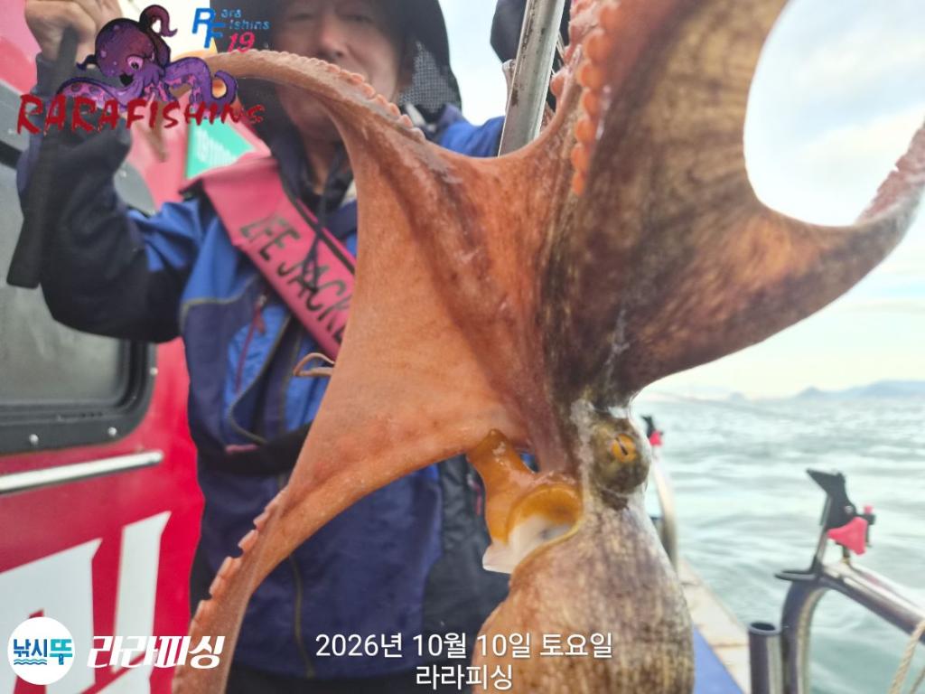 낚시뚜,돌문어,속천항(진해),라라피싱,낚시뚜8