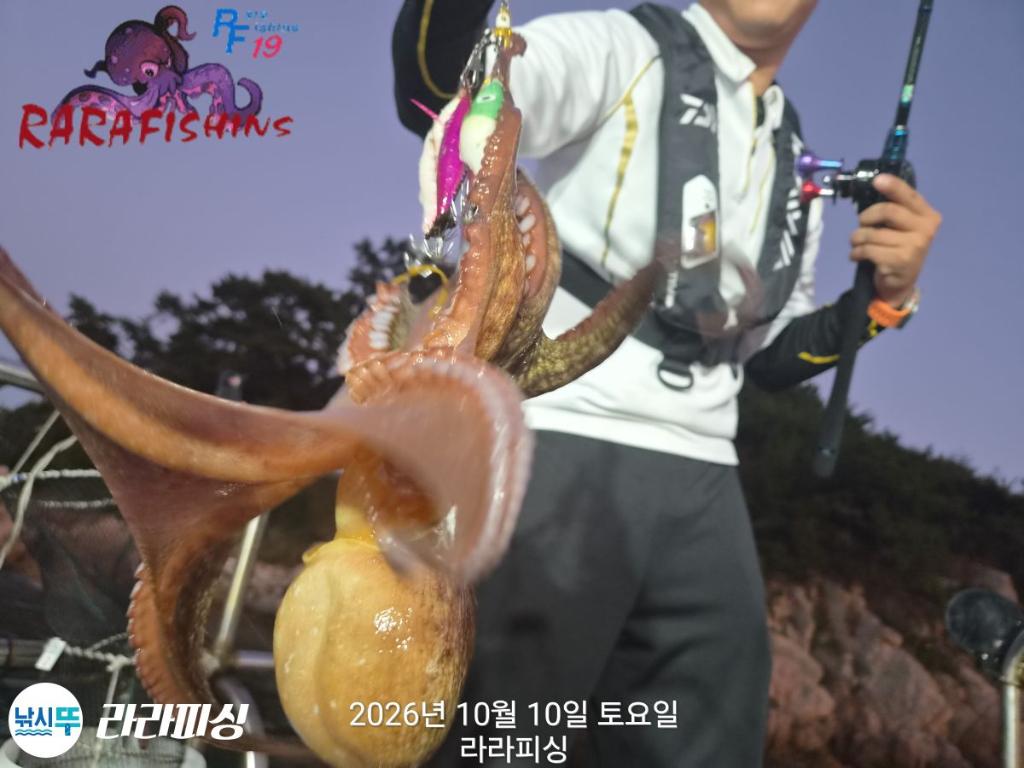 낚시뚜,돌문어,속천항(진해),라라피싱,낚시뚜5