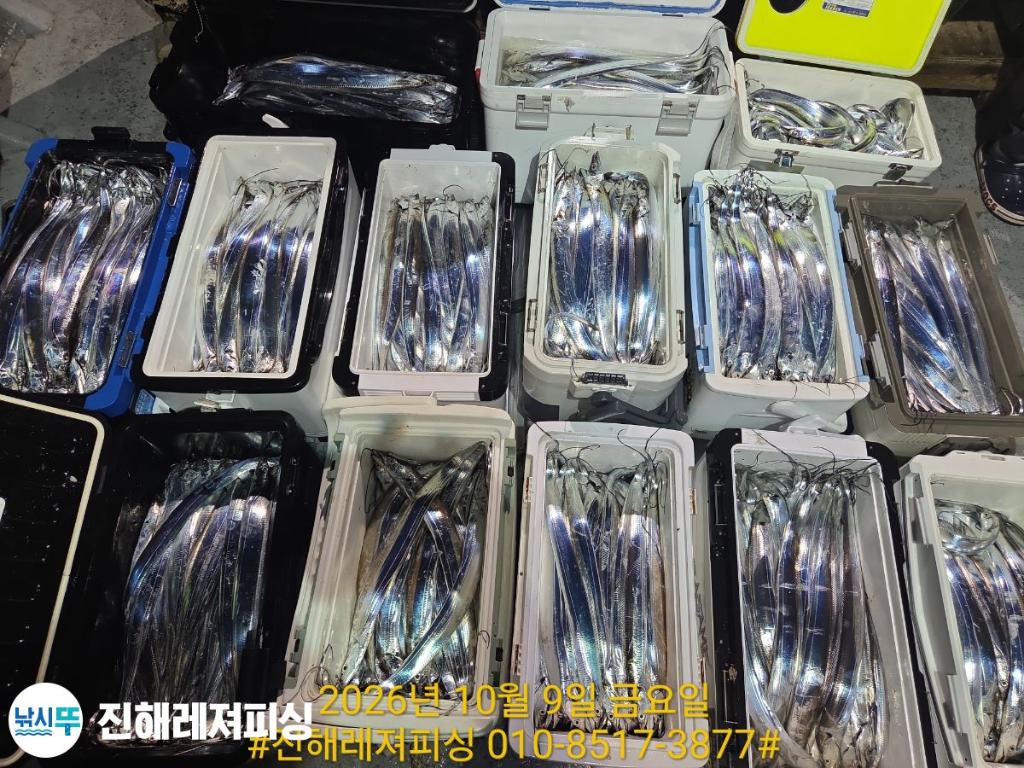 낚시뚜,갈치,진해1부두항,진해레져피싱,낚시뚜33