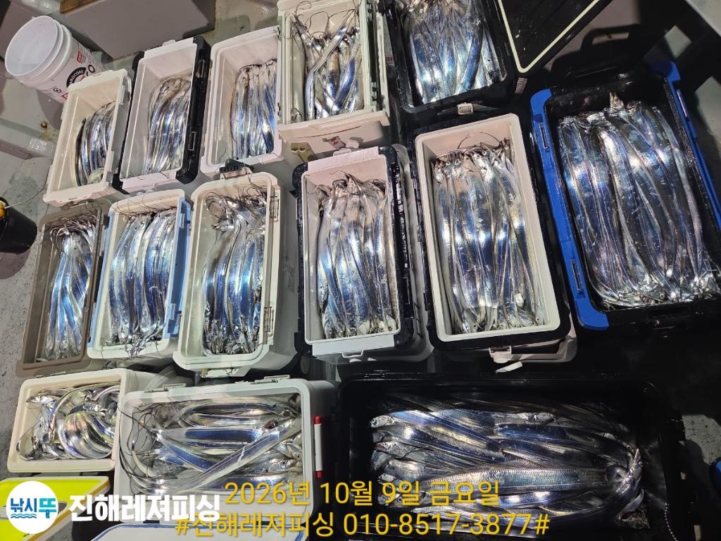 낚시뚜,갈치,진해1부두항,진해레져피싱,낚시뚜31