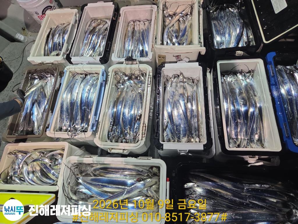 낚시뚜,갈치,진해1부두항,진해레져피싱,낚시뚜30