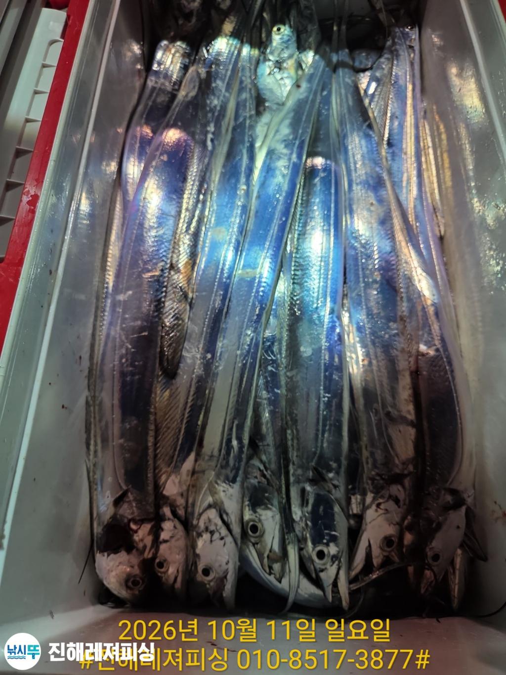 낚시뚜,갈치,진해1부두항,진해레져피싱,낚시뚜25