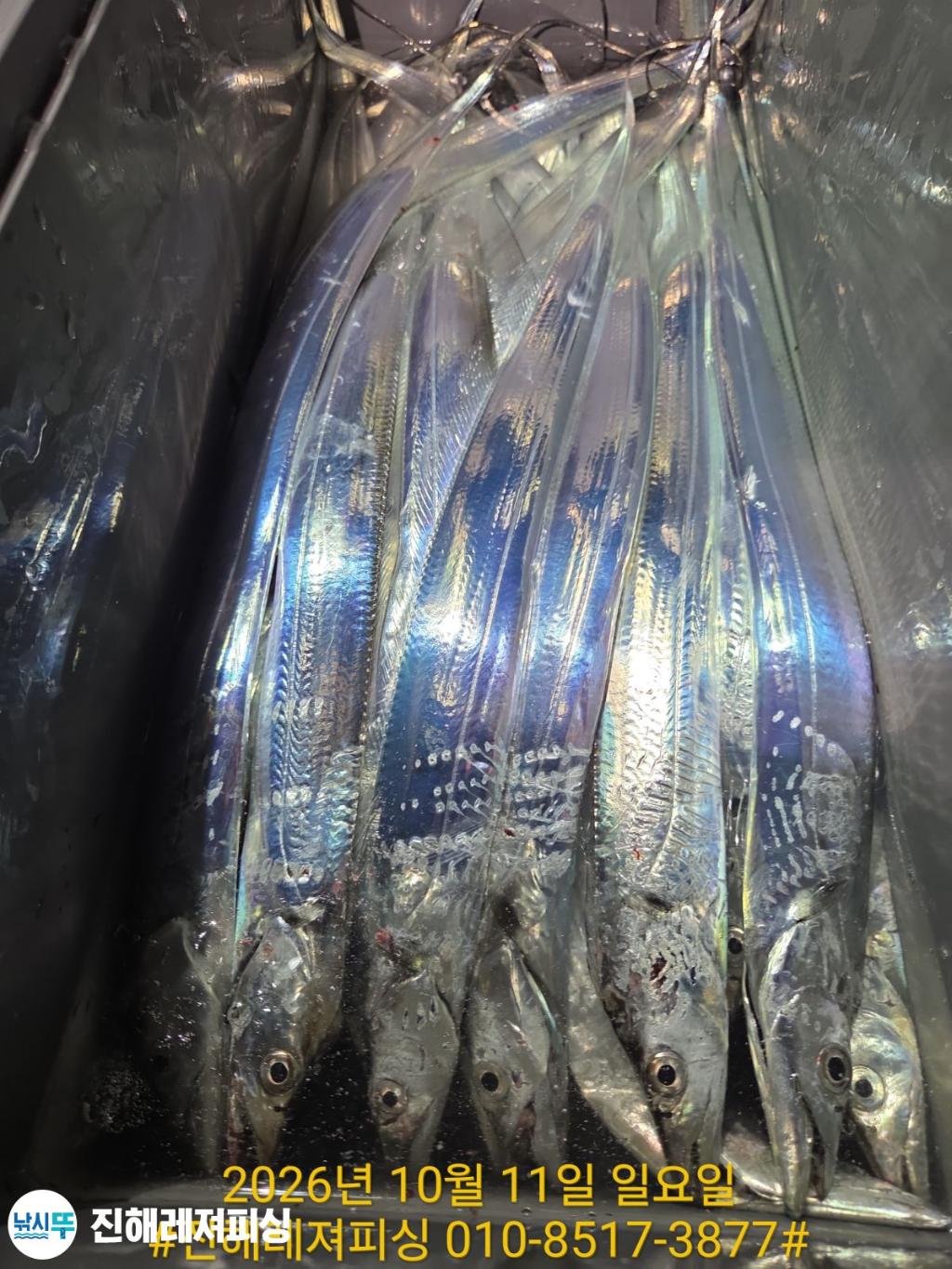 낚시뚜,갈치,진해1부두항,진해레져피싱,낚시뚜23