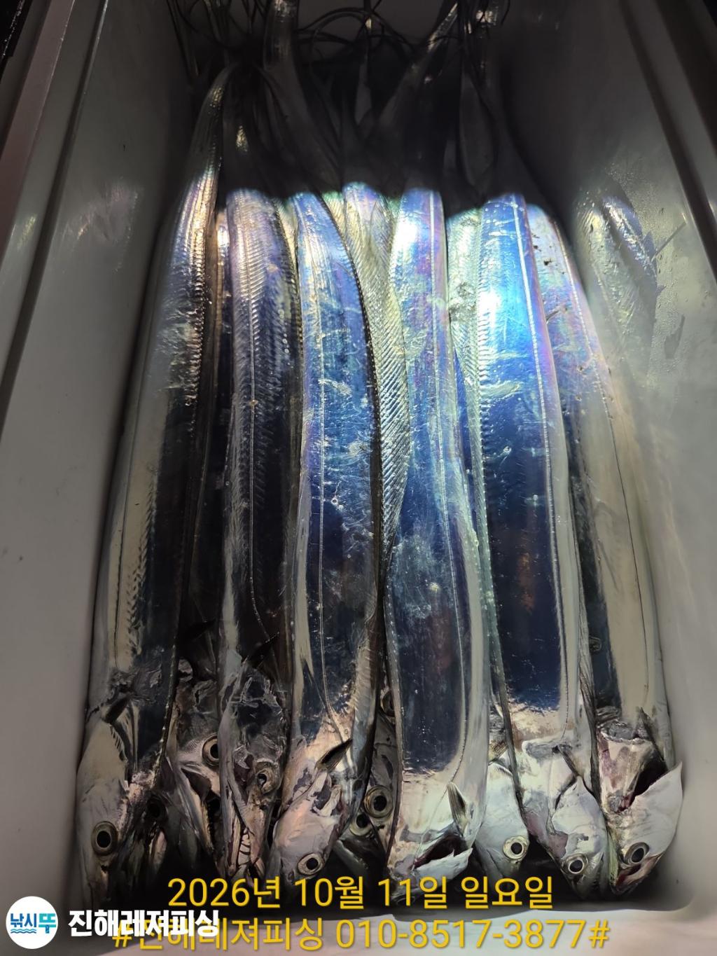 낚시뚜,갈치,진해1부두항,진해레져피싱,낚시뚜22