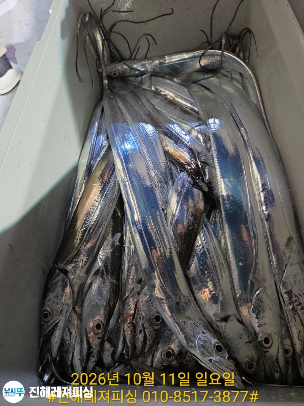 낚시뚜,갈치,진해1부두항,진해레져피싱,낚시뚜21