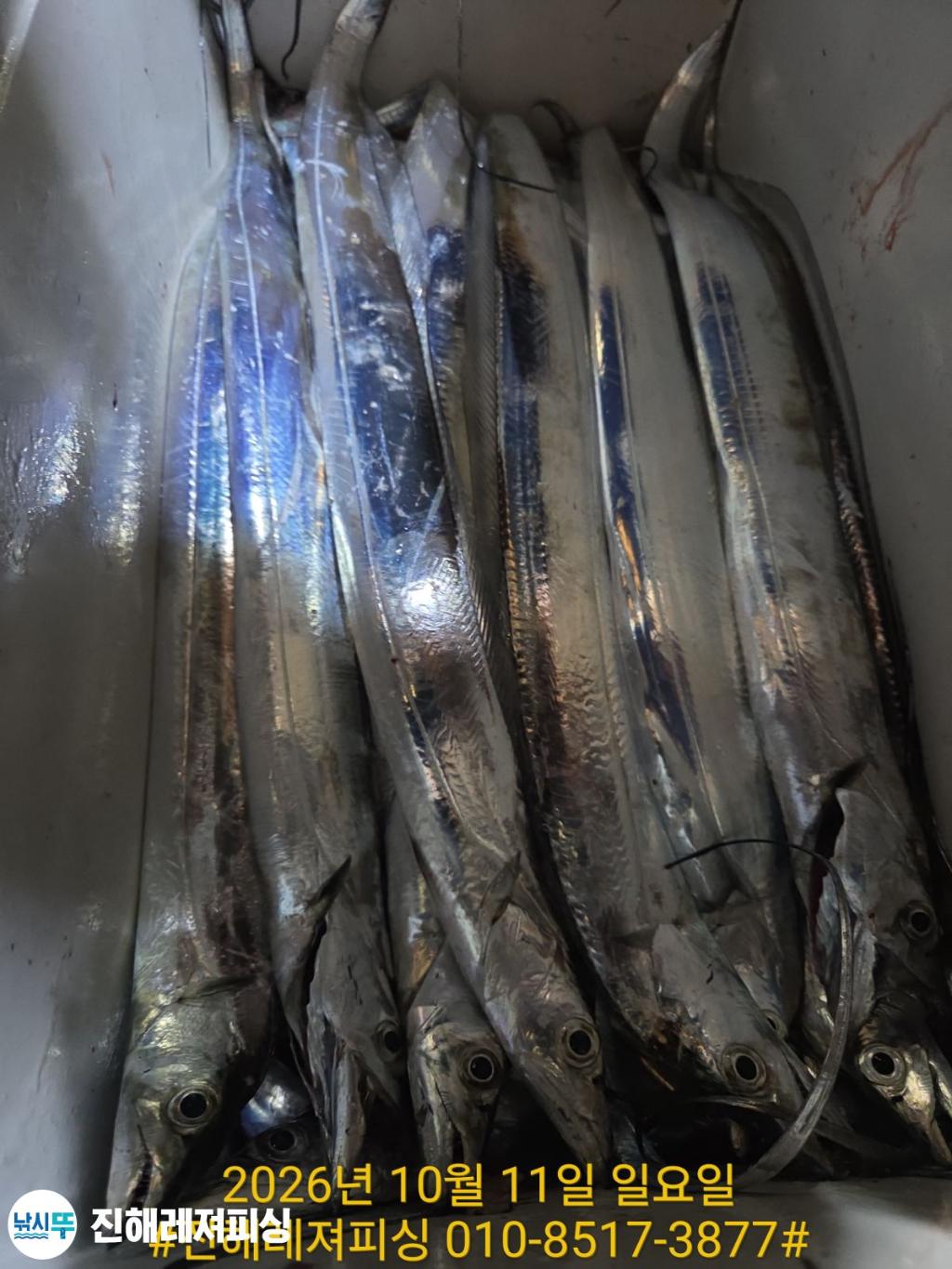 낚시뚜,갈치,진해1부두항,진해레져피싱,낚시뚜19