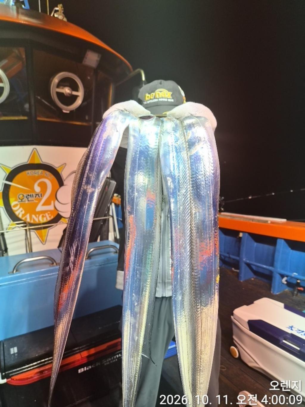 낚시뚜,갈치,삼포항,삼포대교낚시,낚시뚜0