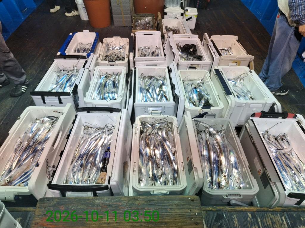 낚시뚜,갈치,삼포항,삼포대교낚시,낚시뚜16
