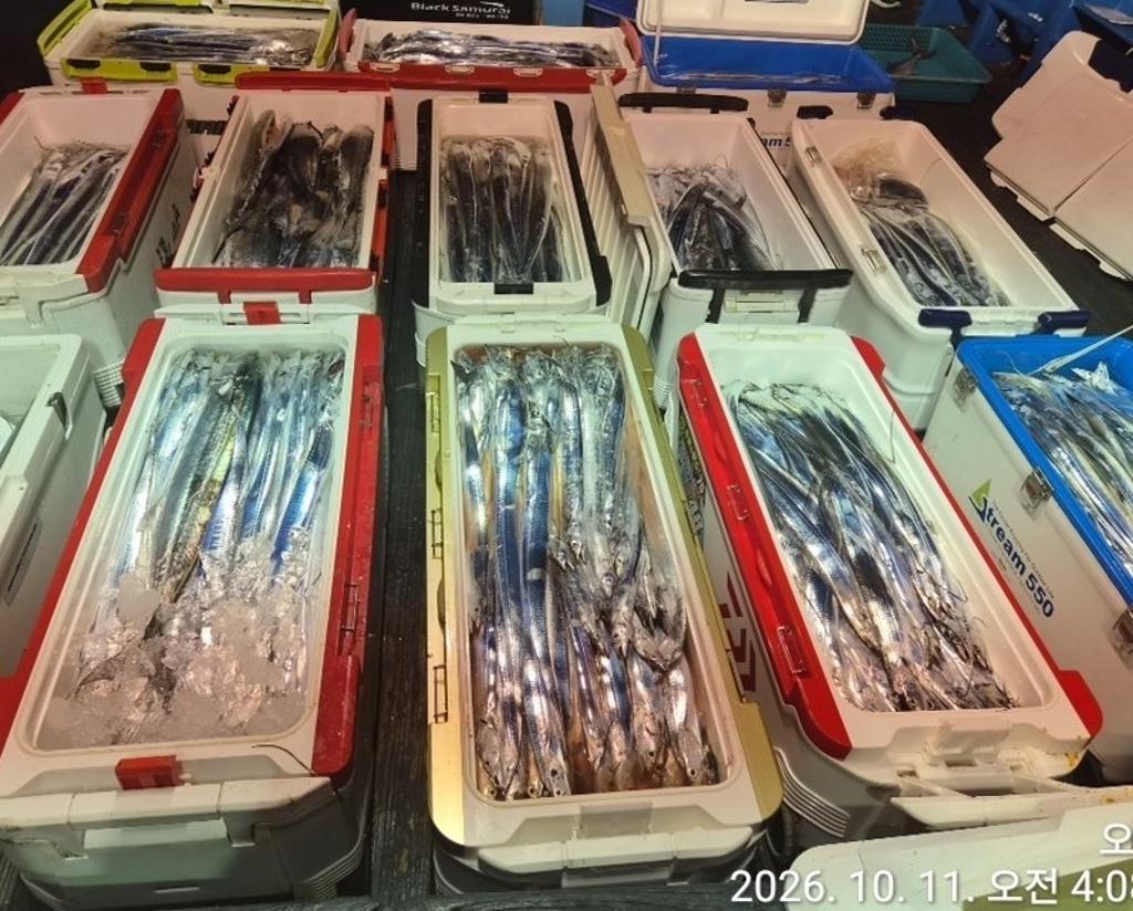낚시뚜,갈치,삼포항,삼포대교낚시,낚시뚜18