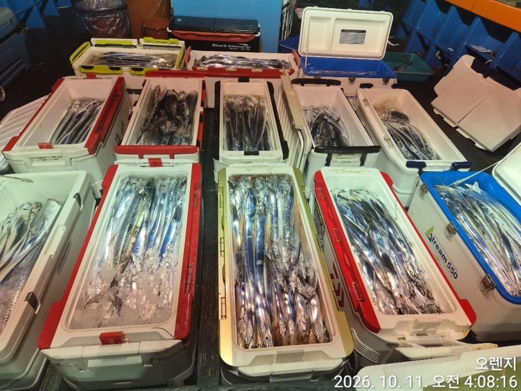 낚시뚜,갈치,삼포항,삼포대교낚시,낚시뚜19