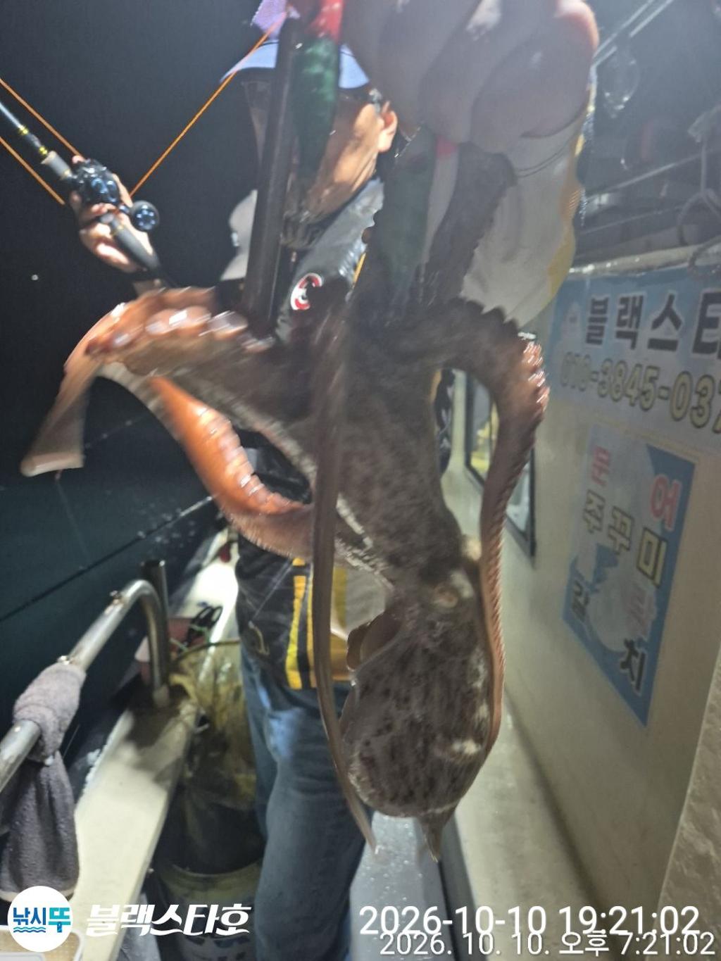 낚시뚜,돌문어,삼천포 팔포항,삼천포 블랙스타,낚시뚜9