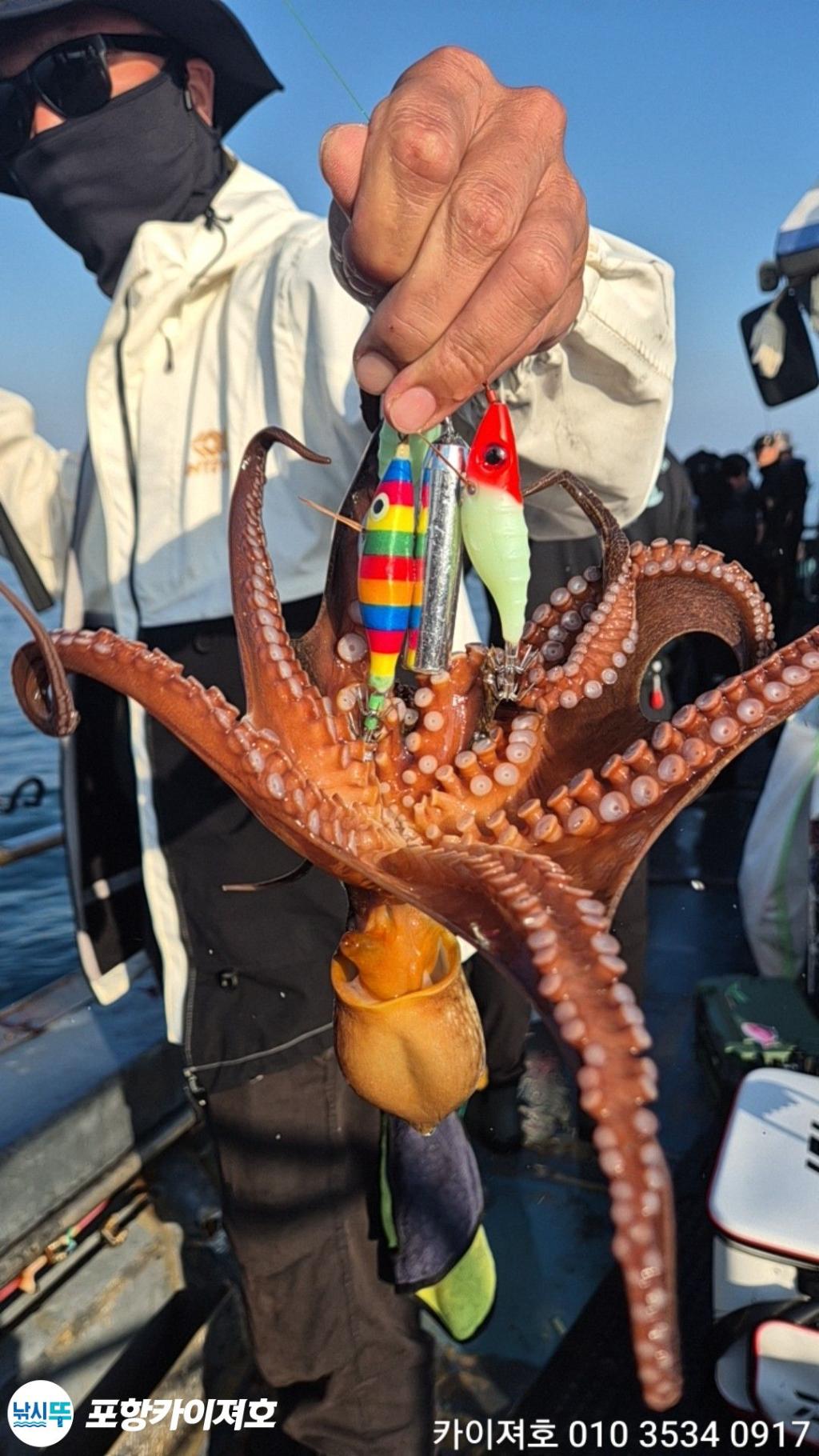 낚시뚜,돌문어,영일만항,포항카이져호,낚시뚜16