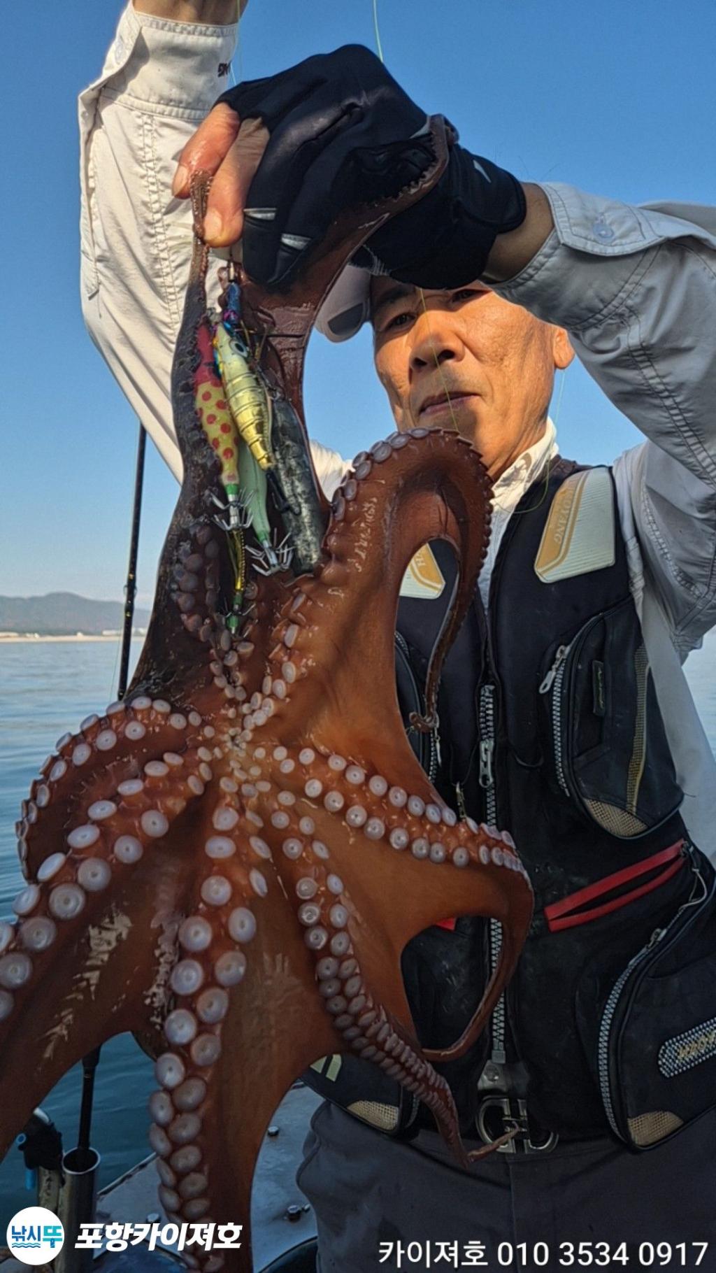 낚시뚜,돌문어,영일만항,포항카이져호,낚시뚜12