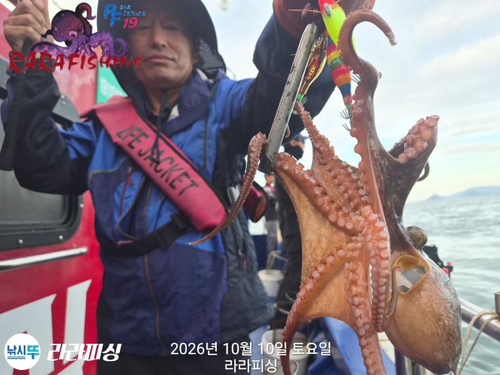 낚시뚜,돌문어,속천항(진해),라라피싱,낚시뚜4