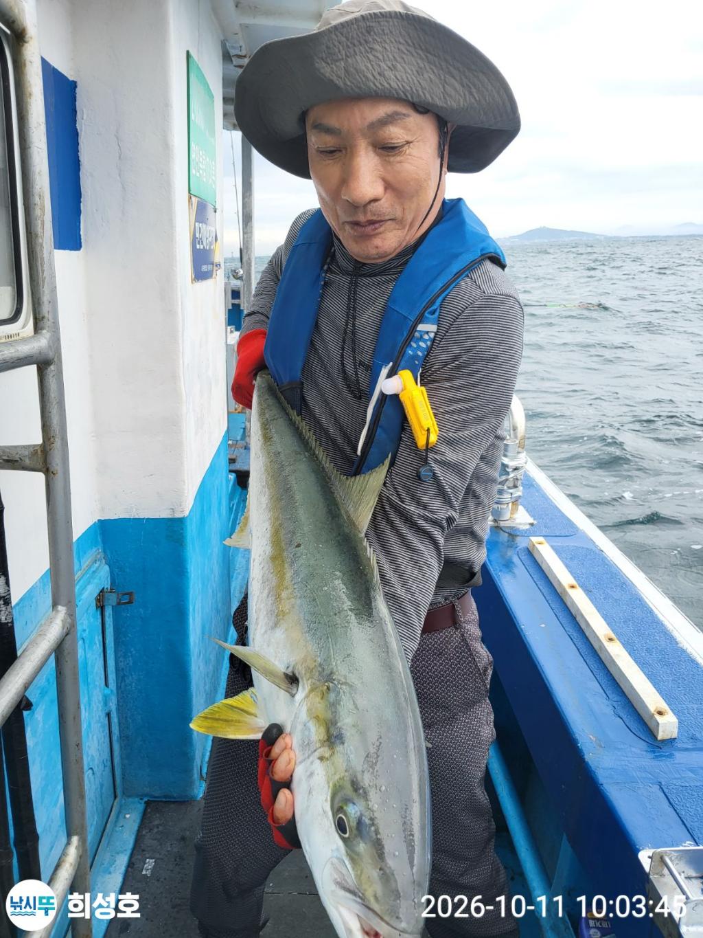 낚시뚜,부시리,잿방어,모슬포항,희성호,낚시뚜3