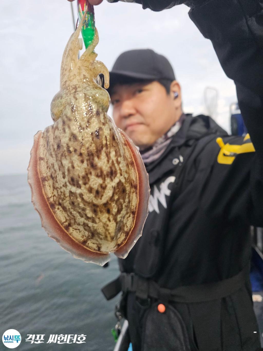 낚시뚜,갑오징어,격포,격포 씨헌터호,낚시뚜19
