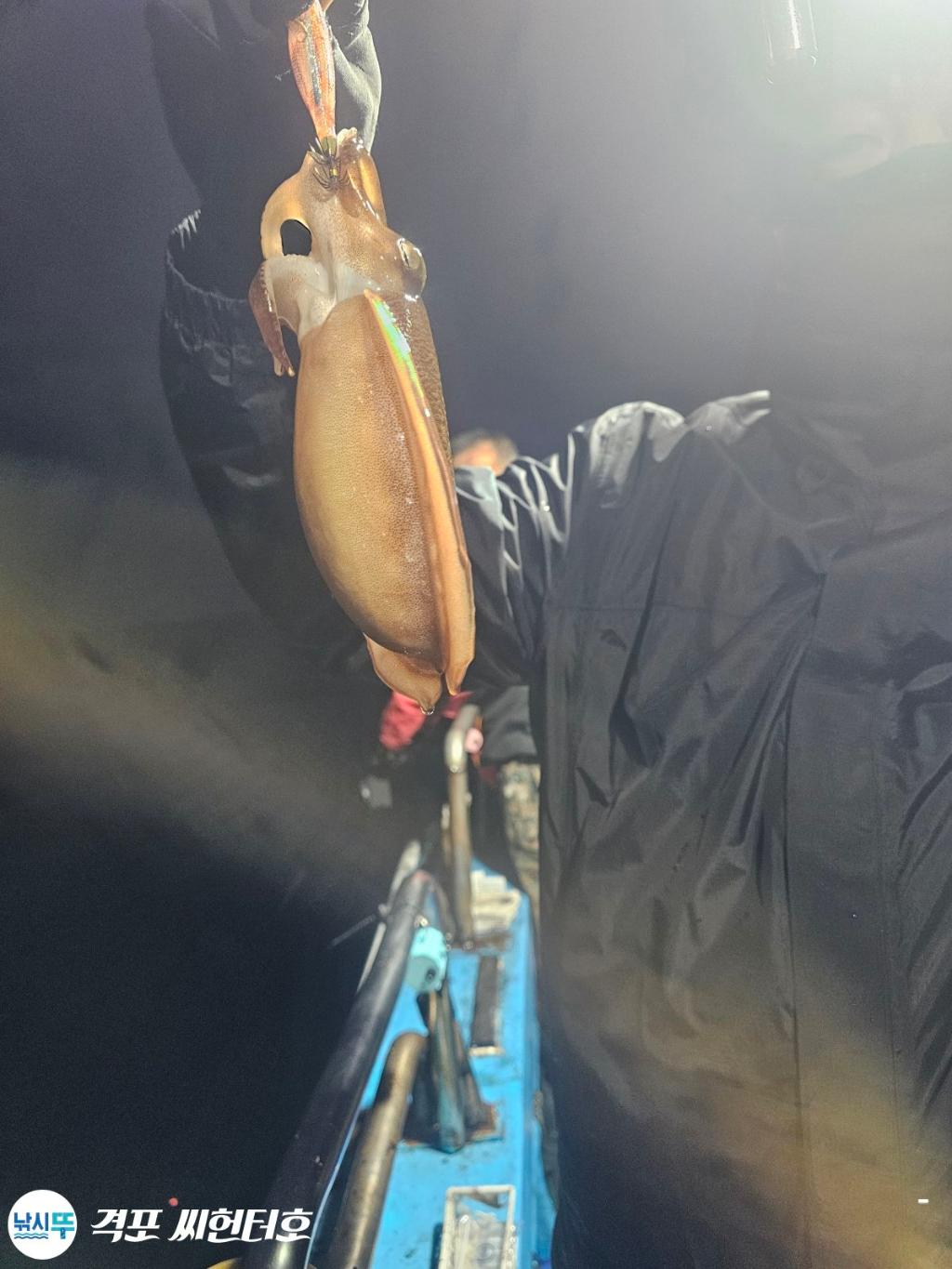 낚시뚜,갑오징어,격포,격포 씨헌터호,낚시뚜12