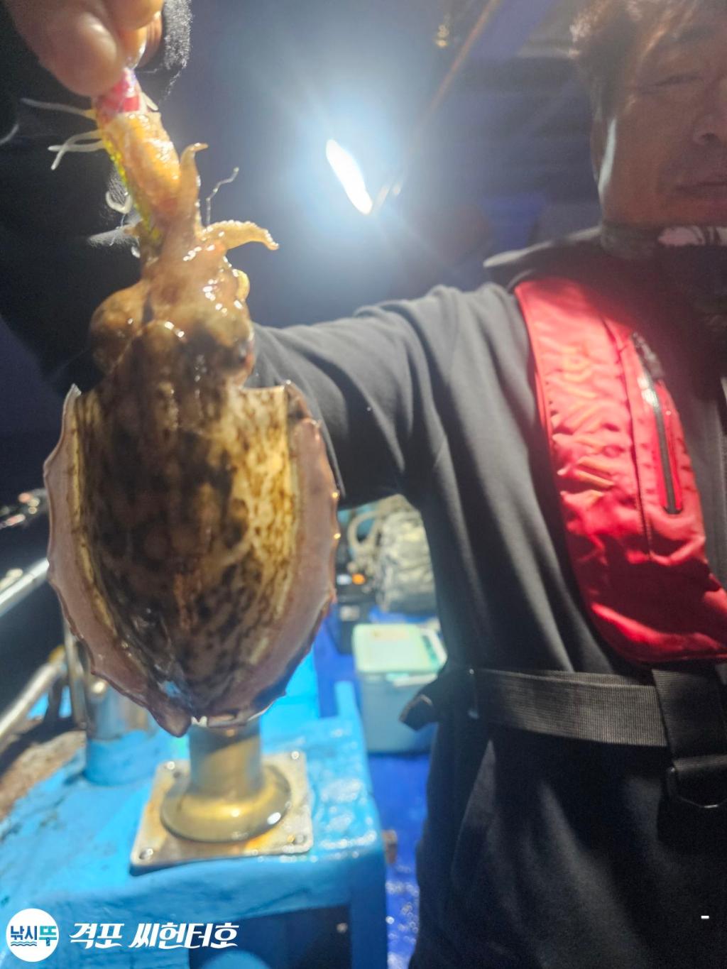 낚시뚜,갑오징어,격포,격포 씨헌터호,낚시뚜11