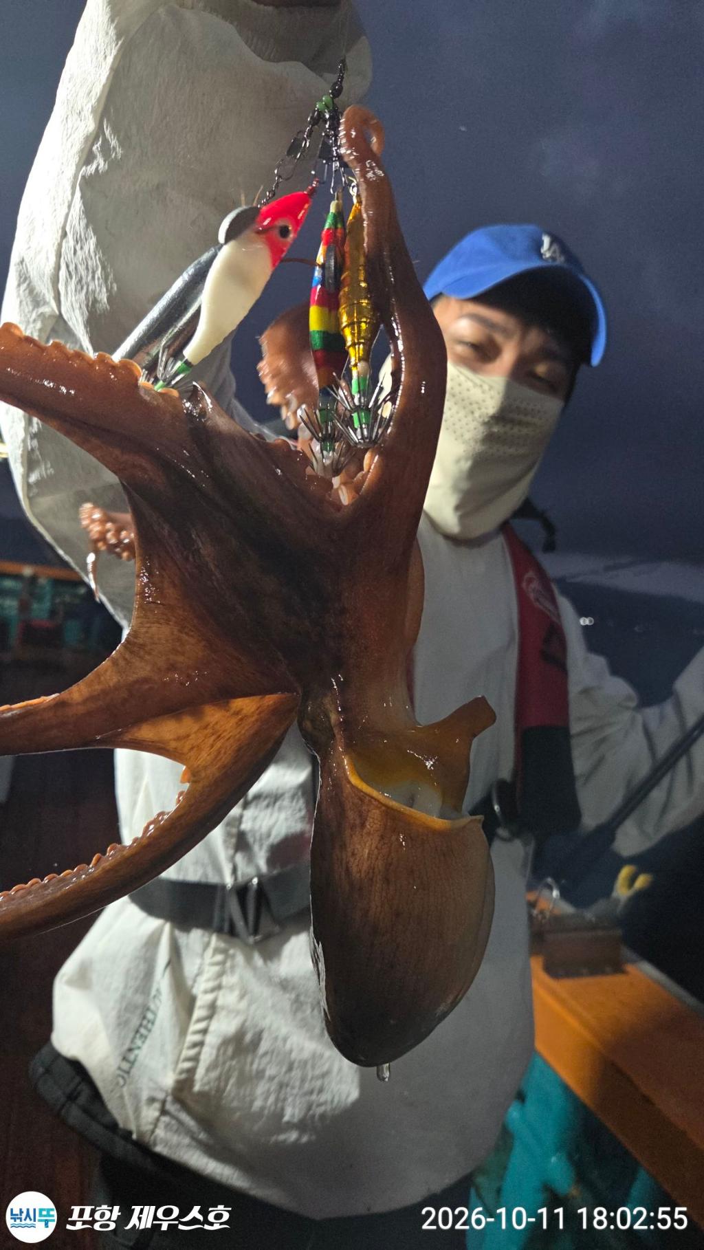 낚시뚜,돌문어,영일만항,포항 제우스호,낚시뚜5