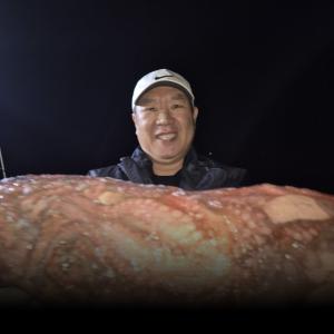 조황, 10일 야간 돌 문어 조황 입니다
