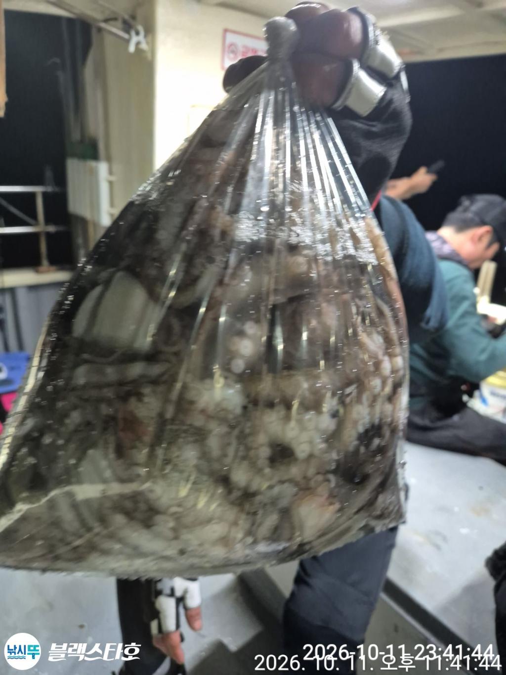 낚시뚜,돌문어,삼천포 팔포항,삼천포 블랙스타,낚시뚜4