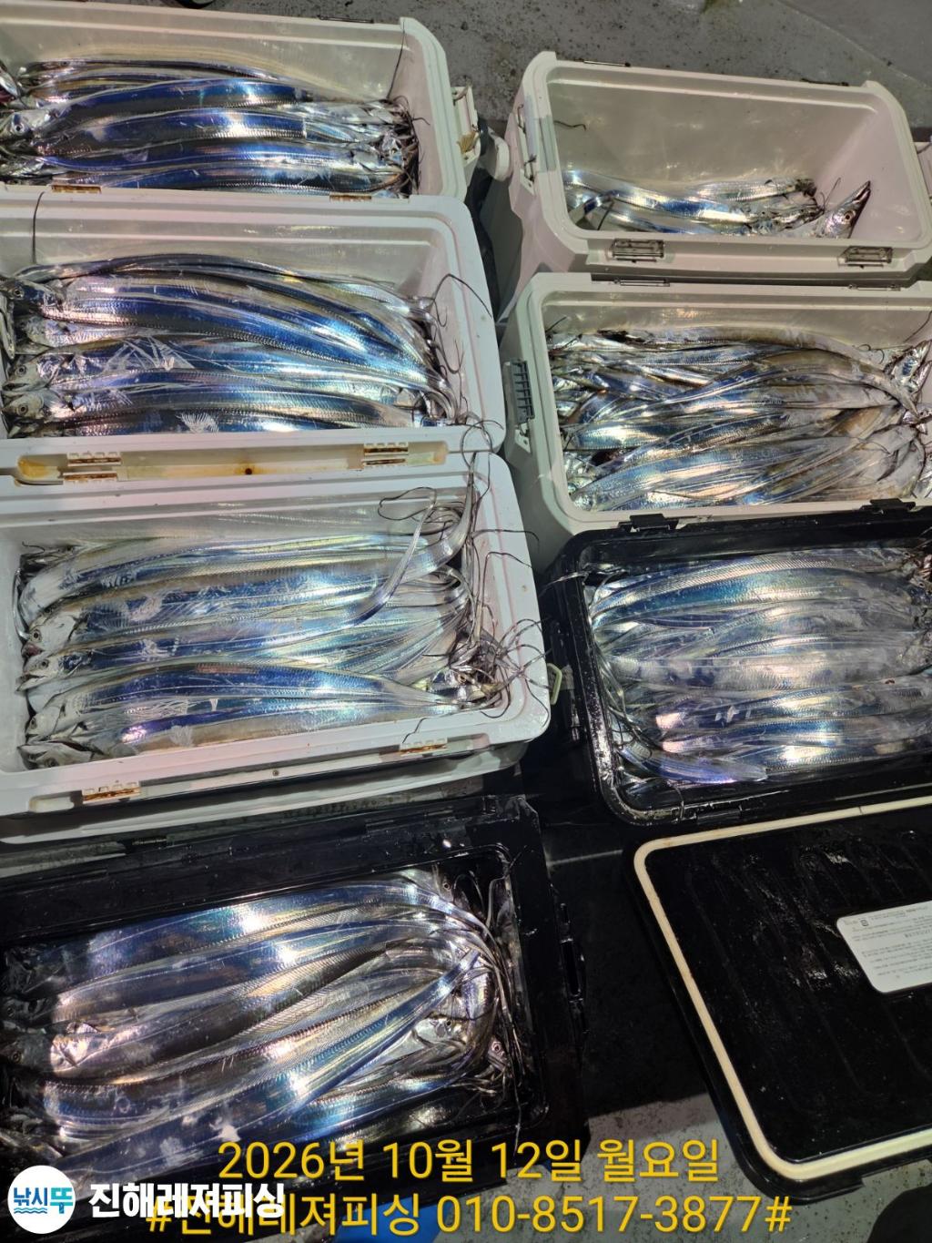 낚시뚜,갈치,진해1부두항,진해레져피싱,낚시뚜21