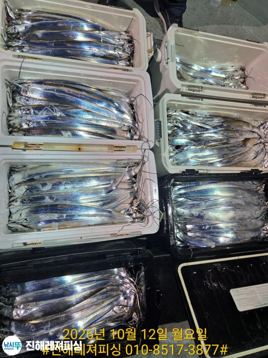 낚시뚜,갈치,진해1부두항,진해레져피싱,낚시뚜20