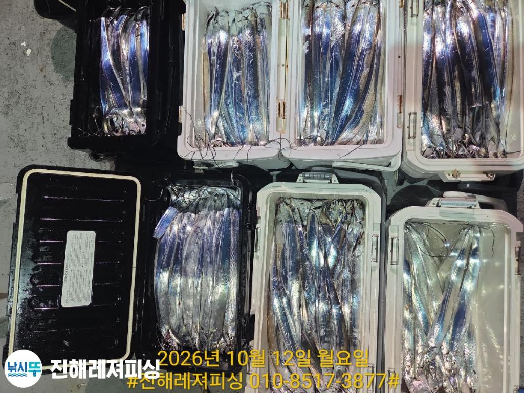 낚시뚜,갈치,진해1부두항,진해레져피싱,낚시뚜19