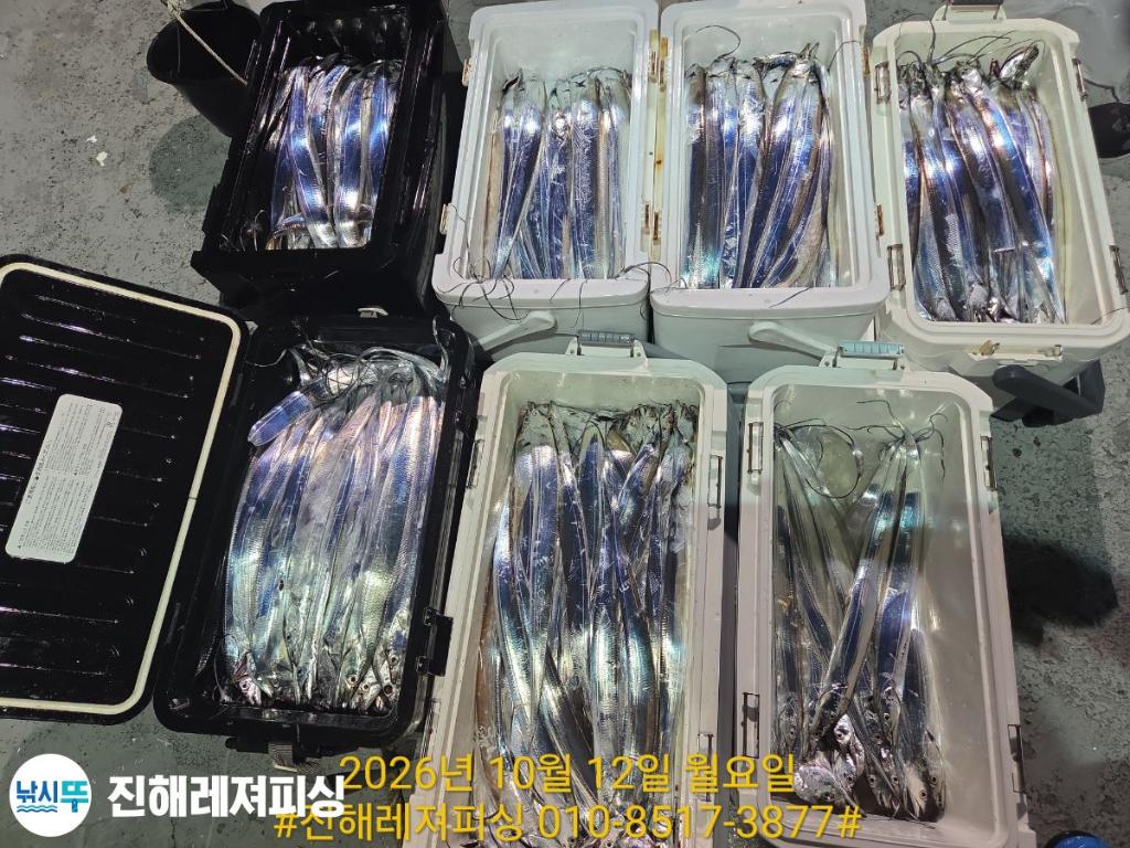 낚시뚜,갈치,진해1부두항,진해레져피싱,낚시뚜18
