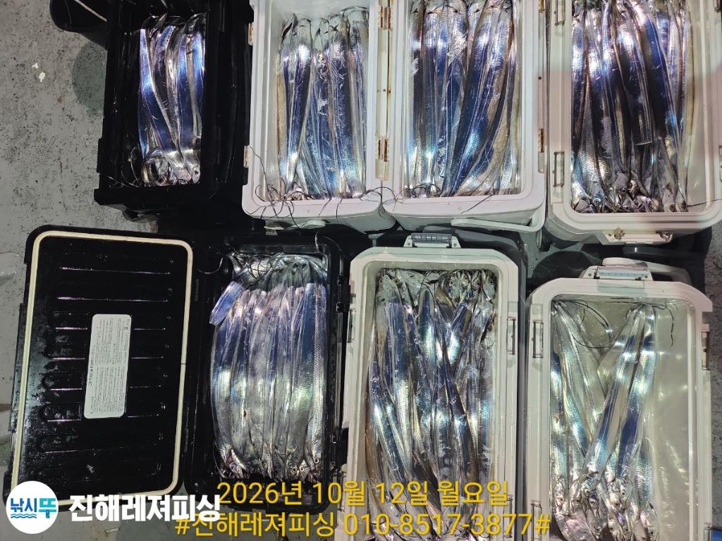 낚시뚜,갈치,진해1부두항,진해레져피싱,낚시뚜16