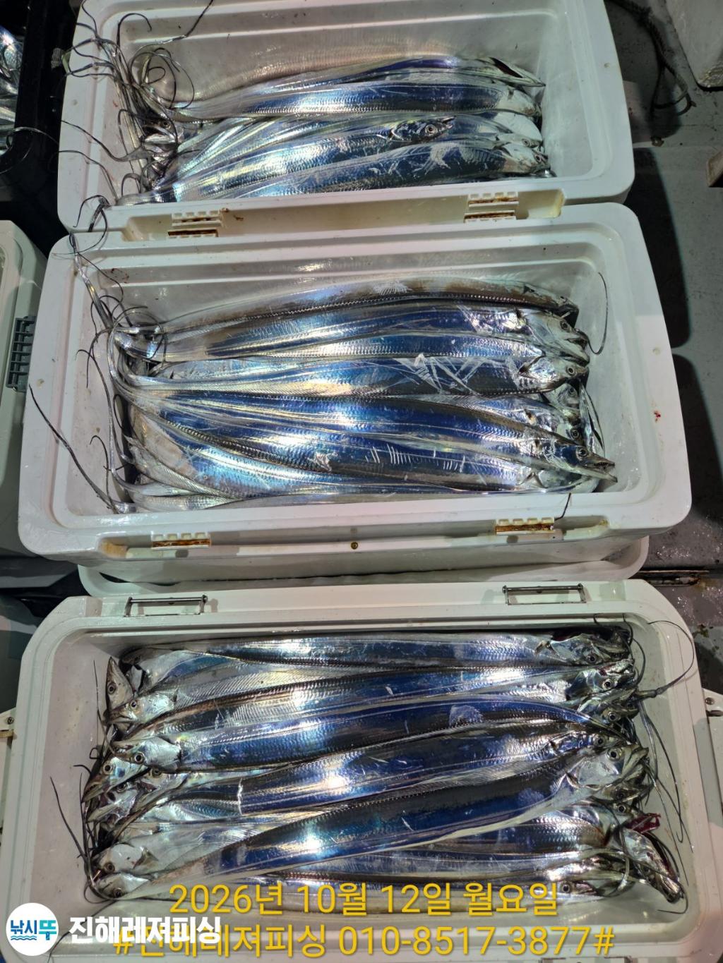 낚시뚜,갈치,진해1부두항,진해레져피싱,낚시뚜15