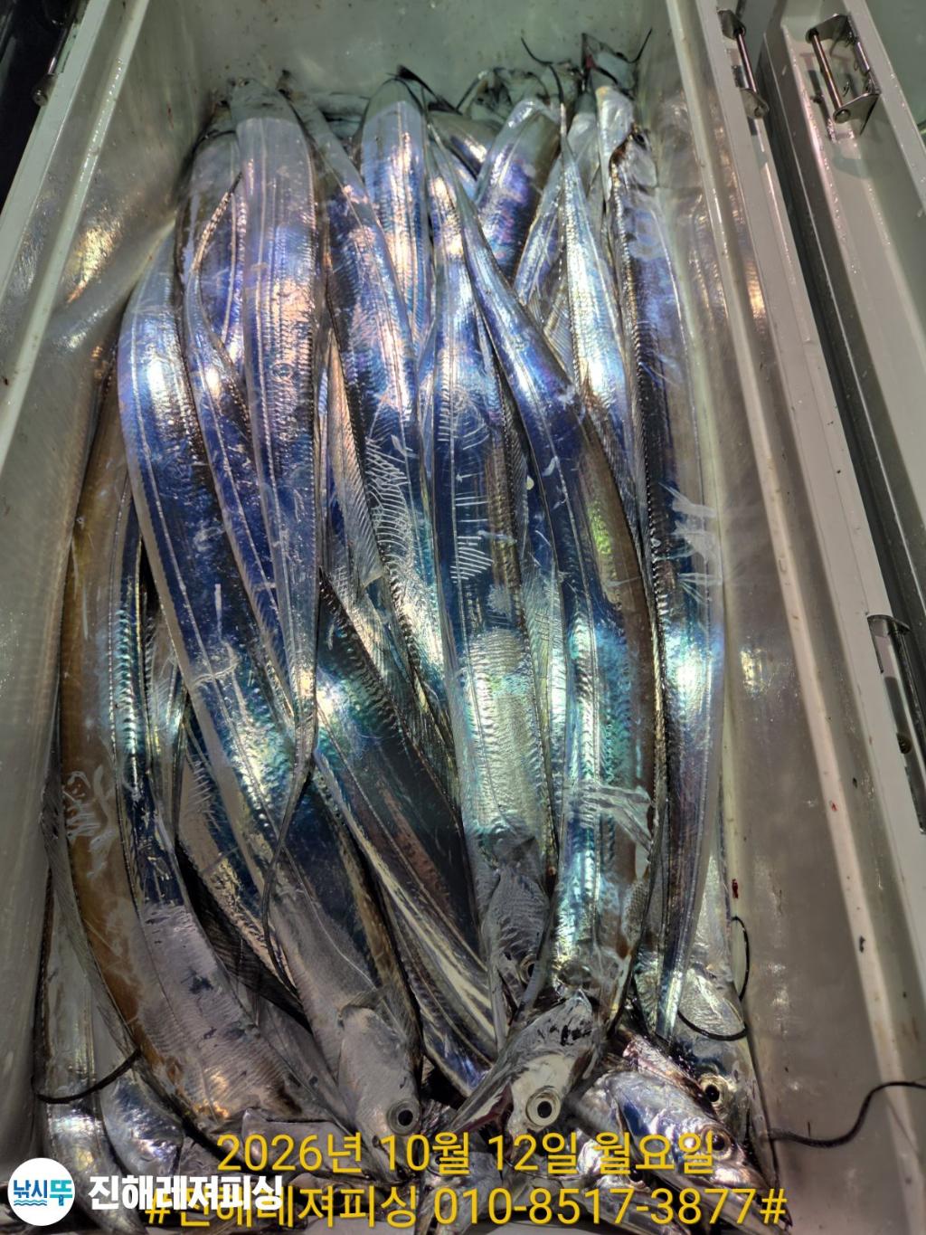 낚시뚜,갈치,진해1부두항,진해레져피싱,낚시뚜13